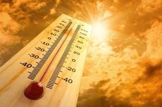 BMKG Sebut Wilayah Jatim Panas Bukan karena Fenomena "Heat Wave"