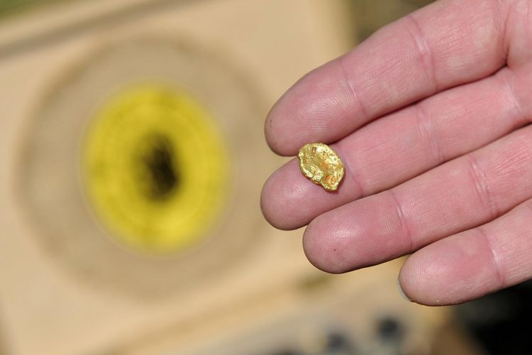 Bakteri ini mampu membuat emas berukuran kecil