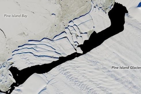NASA Rekam Pecahnya Gunung Es di Antartika, Apa Penyebabnya?