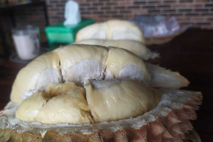 Durian Kholil asli Kota Semarang, Jawa Tengah