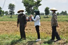 Wisata Edukasi Kalitengah, Embrio Desa Wisata Terintegrasi di Lamongan