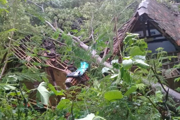 BPBD Kulon Progo mendolumentasi rumah Rebyah yang rusak berat tertimpa pohon petai yang tumbang di Dusun Soropati, Desa Hargotirto, Kecamatan Kokap, Kabupaten Kulon Progo, DI Yogyakarta.