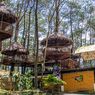Harga Tiket Kopeng Treetop Semarang Tahun 2021, Cuma Buka Weekend dan Hari Libur