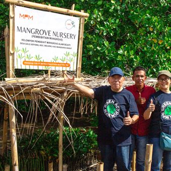 PT Mitra Pinasthika Mustika Tbk melakukan penanaman 20.000 bibit mangrove di Nusa Tenggara Timur (NTT). 