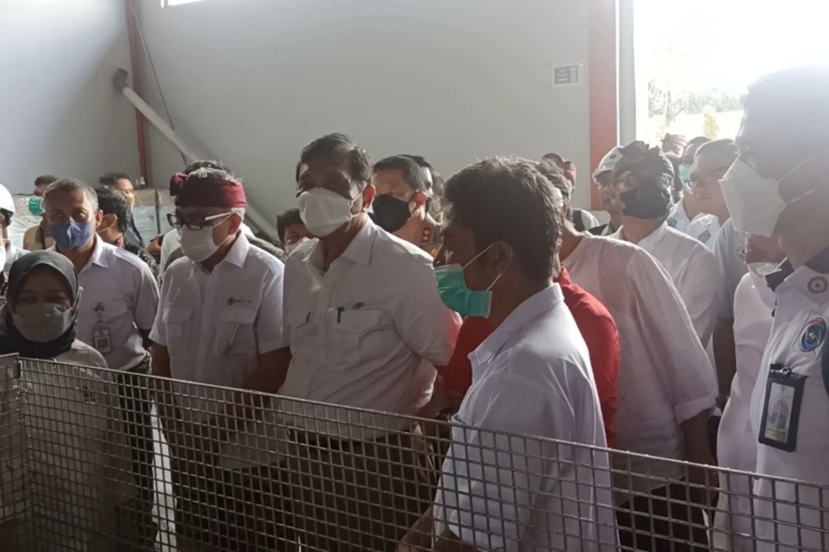Menteri Koordinator Bidang Kemaritiman dan Investasi (Menko Marves) Luhut Binsar Pandjaitan meninjau Tempat Pengolahan Sampah Terpadu (TPST) Kesiman, Kertalangu, Denpasar, Bali, pada Kamis (9/3/2023). Kompas.com/ Yohanes Valdi Seriang Ginta