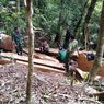 Patroli Gabungan Temukan Aktivitas Pembalakan Liar di Hutan Lindung Sumbawa