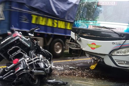 Adu Banteng Moge dan Bus di Baluran Situbondo Diduga akibat 