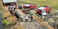 Hashim Sebut Pemerintah Tak Akan Alihkan Kawasan Hutan Jadi Sawah, Komitmen Dipertanyakan