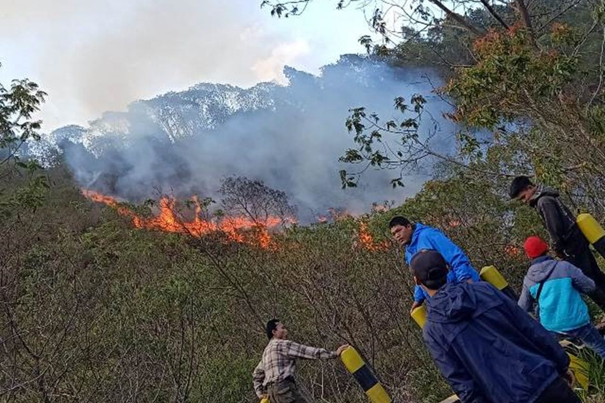 Kebakaran hutan Cagar Alam Papandayan, Minggu (6/10/2019)