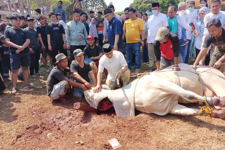 Gubernur DKI Jakarta Anies Baswedan menyembelih sendiri hewan kurban berupa satu ekor sapi dengan berat sekitar 1 ton pada Hari Raya Idul Adha 1443 Hijriah, Minggu (10/7/2022). 