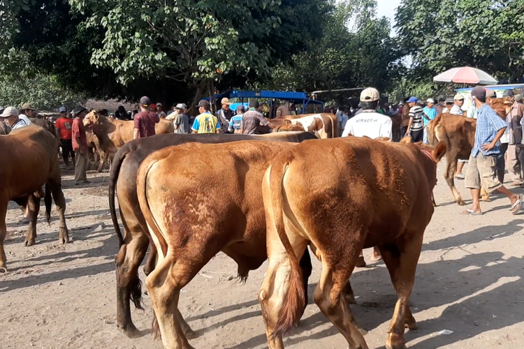 Suasana ramai di Pasar Patok Lumajang, Jumat (13/5/2022)