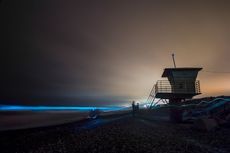 Langka, Ombak di Lautan California Berwarna Biru Neon
