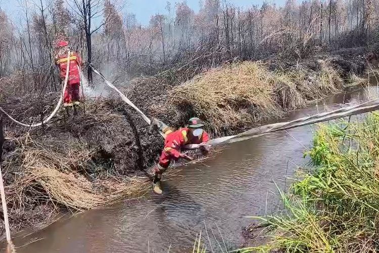 Perjuangan Petugas Padamkan Karhutla di Sumsel, Seberangi Kanal Sambil Bergelantungan di Selang Air