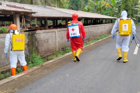 PMK Sudah Masuk Purworejo, Pemkab Bentuk Tim Reaksi Cepat