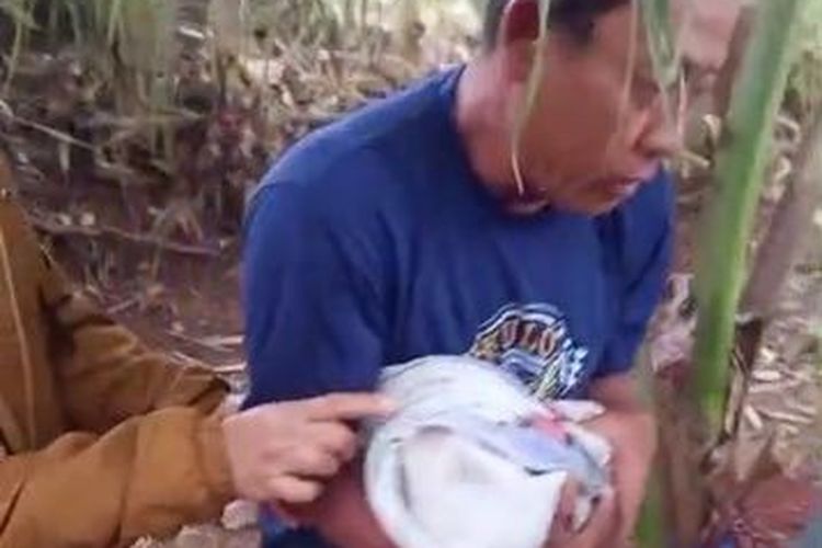 Warga Gunungkidul Temukan Bayi Laki-laki Lengkap dengan Ari-ari di Bawah Pohon Bambu