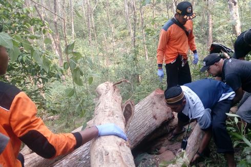 Truk Bermuatan Kayu Gelondongan Jatuh ke Jurang, 2 Tewas dan 7 Luka Berat