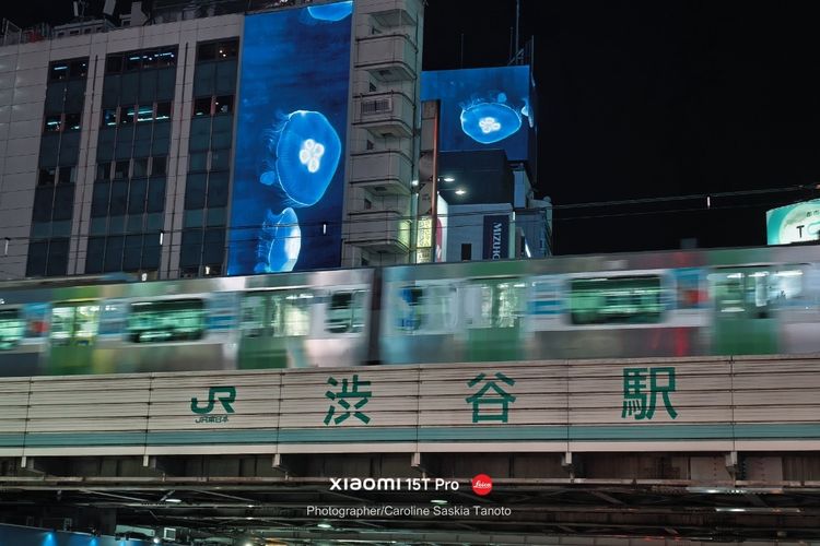 Selain jalanan yang tidak pernah sepi, jalur kereta Shibuya bisa dikatakan sebagai salah satu stasiun kereta tersibuk di Tokyo. Stasiun ini kerap dijadikan sebagai tempat transit ke beberapa daerah lain, dan juga menjadi tempat destinasi dari turis di belahan dunia. 
