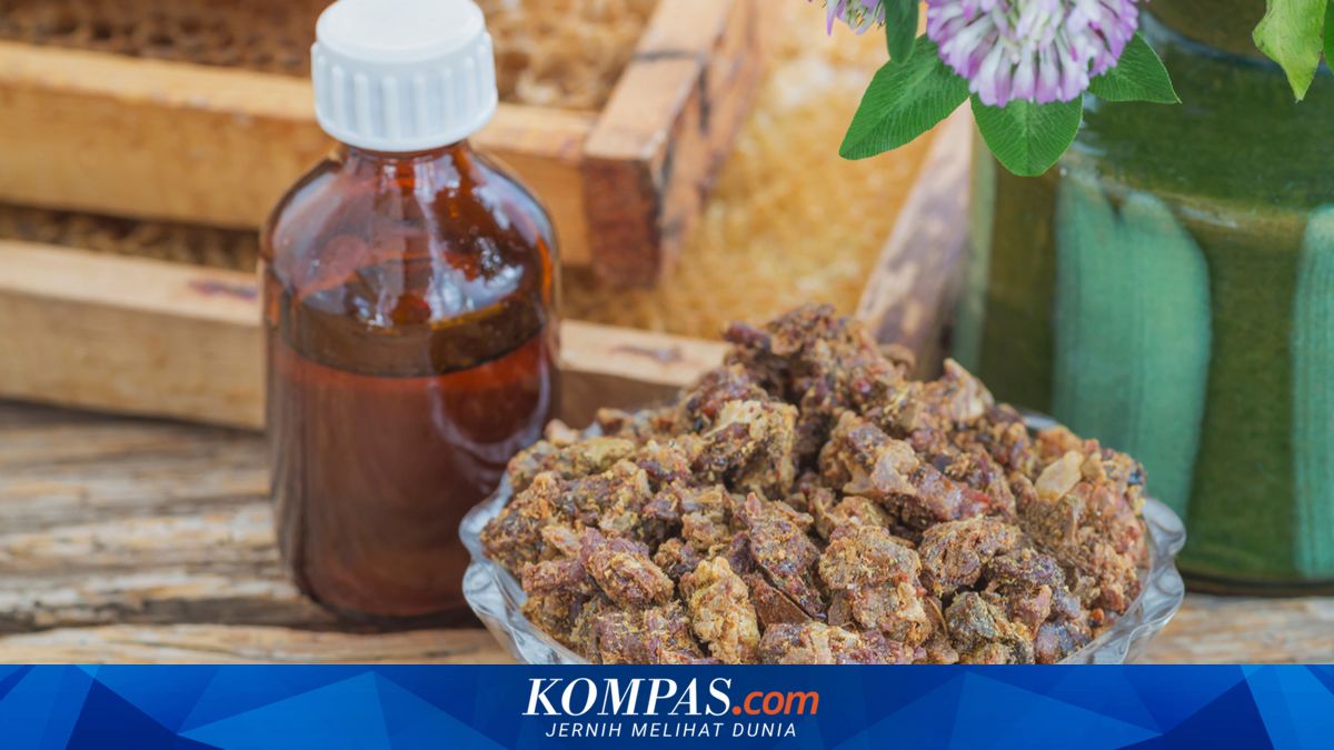 Cara Minum Propolis, Sebelum atau Sesudah Makan?