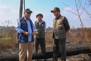 Perintah Prabowo: Zona Inti IKN Tak Boleh Terbakar