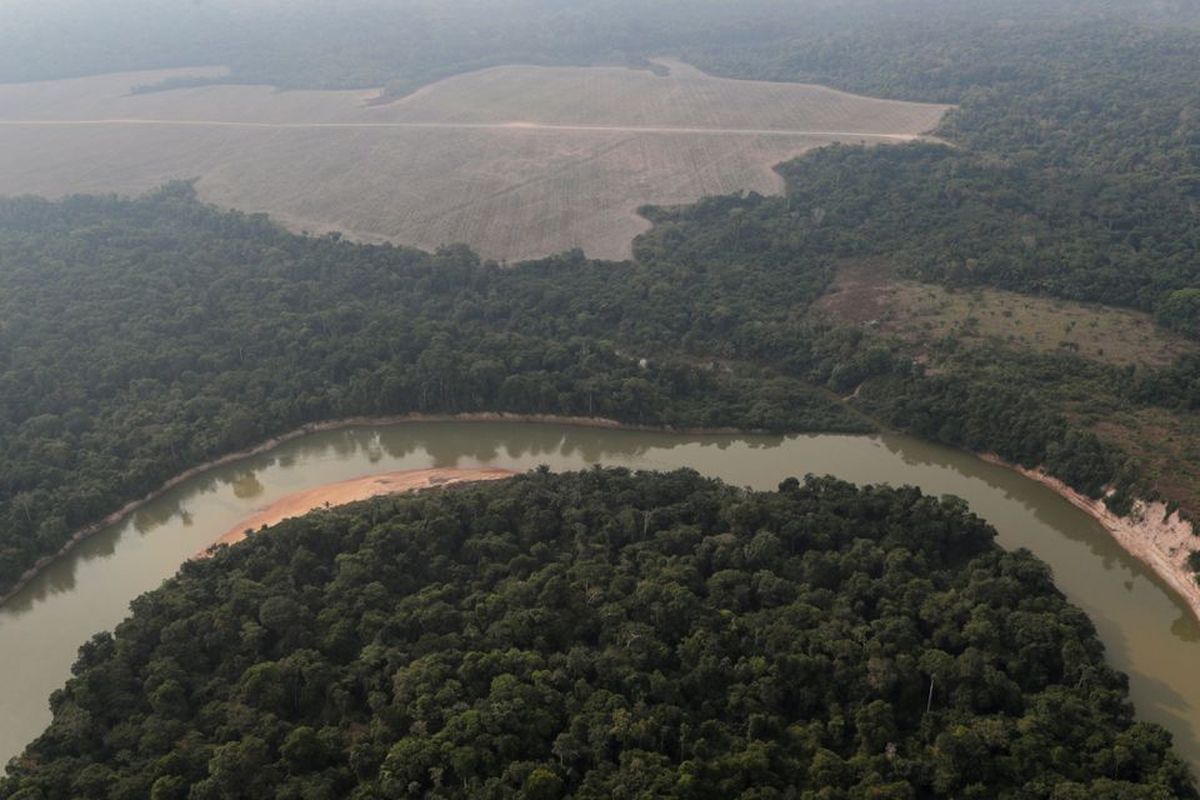 Pemandangan dari udara menunjukkan sungai dan sebidang hutan Amazon yang gundul di dekat Porto Velho, Negara Bagian Rondonia, Brasil, Jumat (14/8/2020).