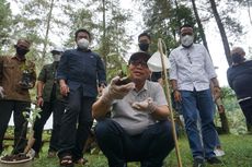 Ikhtiar Melestarikan Kantong Semar, Tanaman Endemik Lereng Gunung Slamet yang Terancam Punah...