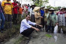 Jokowi, Politikus Tersukses Lakukan Branding