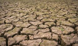 Hadapi Musim Kemarau Panjang, BPBD DKI Fokus pada Air Bersih dan Mitigasi Bencana