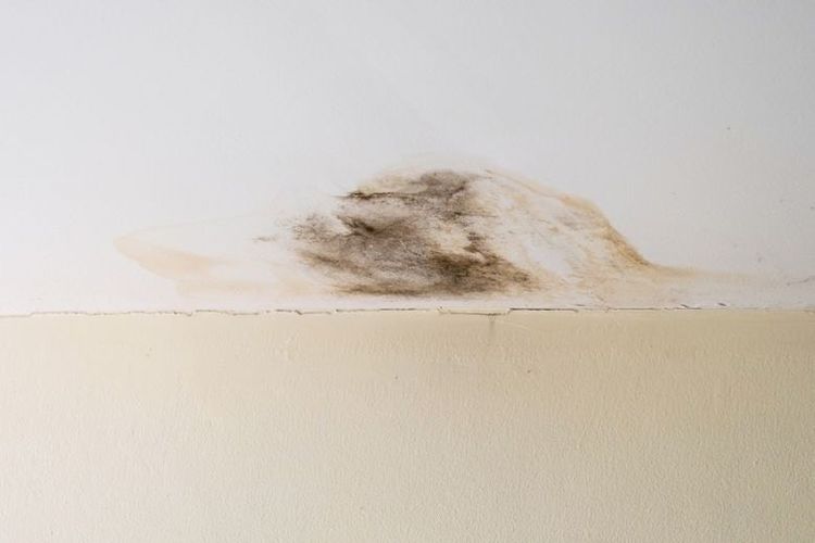 Ilustrasi dinding rumah. 