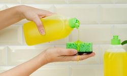 5 Benda Ini Bisa Dibersihkan Pakai Sabun Cuci Piring, Apa Saja?
