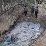 Anak Gajah Sumatera Ditemukan Mati Membusuk di Hutan, Begini Kondisinya