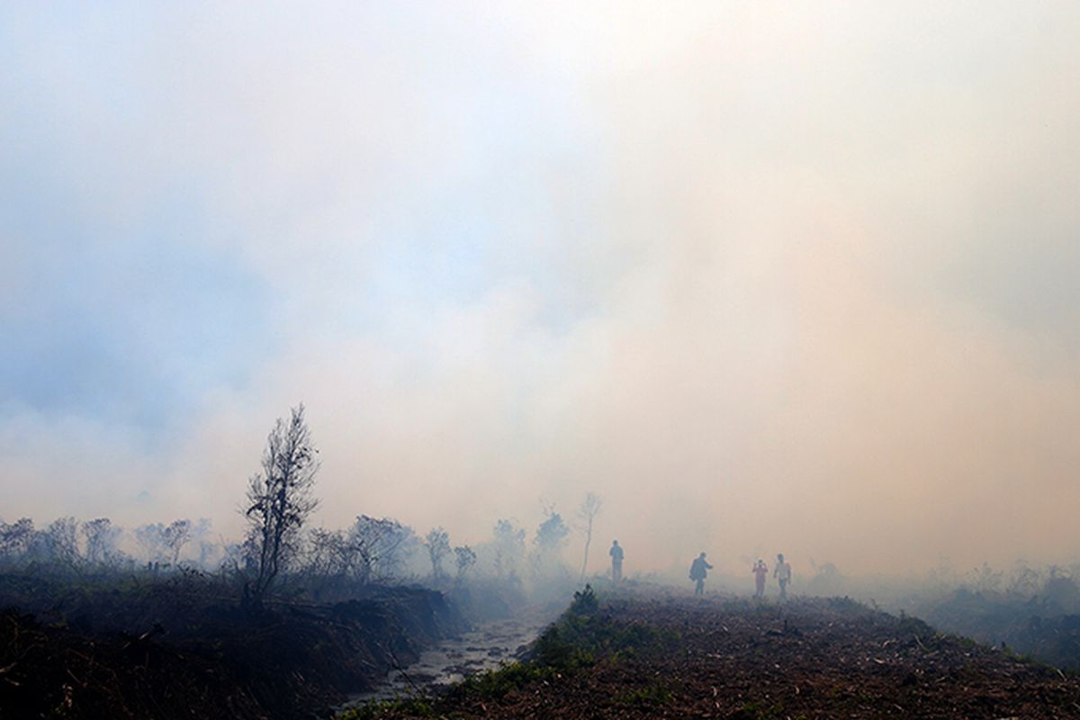 Sejumlah warga sedang berada di lokasi kebakaran lahan gambut di Desa Simpang dan Peunia, Kecamatan Kawai XVI, Rabu (23/08/17).