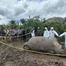 Polisi Pastikan, Gajah Mati di Aceh TImur Karena Pestisida