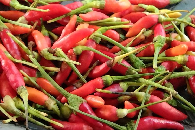 Jelang natal dan tahun baru, harga cabai rawit yang dijual di pasar tradisional Wameo, Kota Baubau, Sulawesi Tenggara, mengalami kenaikan harga hingga mencapai 100 persen.