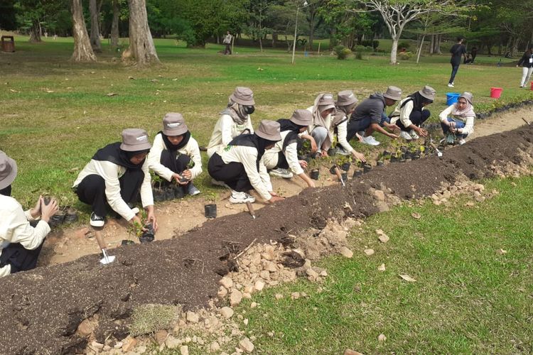 Penghijauan KCBN Candi Muaro Jambi di Kabupaten Muaro Jambi lewat aksi Siap Sadar Lingkungan (Darling) Bakti Lingkungan Djarum Foundation (BLDF) pada Rabu (23/8/2023).