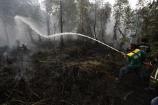 BNPB: Luas Lahan Terbakar Capai Sekitar 857.000 Hektar