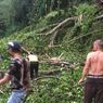 Hujan Angin Terjang Bandung Barat, Jalan Cipatat-Saguling Tertutup Pohon Tumbang
