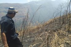 60 Hektar Kawasan Hutan Gunung Anjasmoro Jombang Terbakar