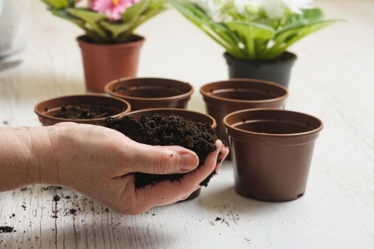 Ilustrasi media tanam tanaman hias. 