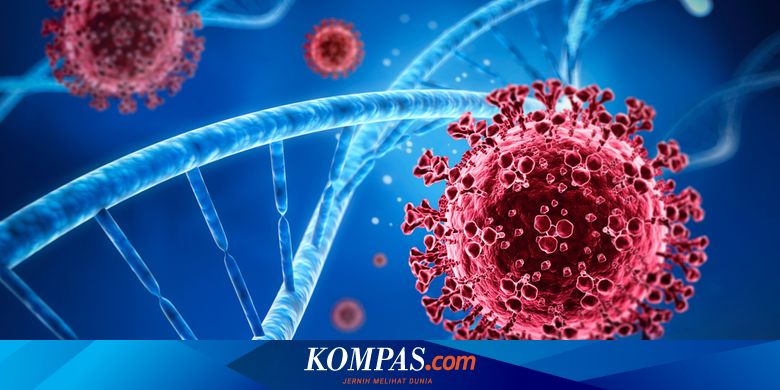 Masa Inkubasi Virus Corona Kapan Paling Menular Halaman All Kompas Com