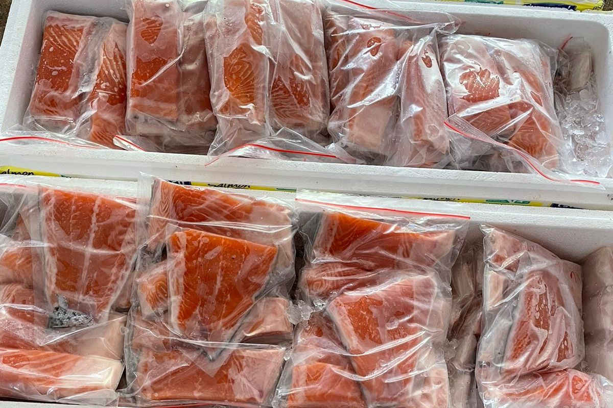 3 Cara Pertahankan Kesegaran Ikan Impor, Pakai Jasa Kirim Frozen Food Halaman all - Kompas.com