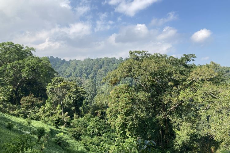 Pemandangan lembah kaki Gunung Gede Pangrango yang terlihat dari Puncak Halimun Camp, Kecamatan Caringin, Kabupaten Bogor, Jumat (28/5/2021).