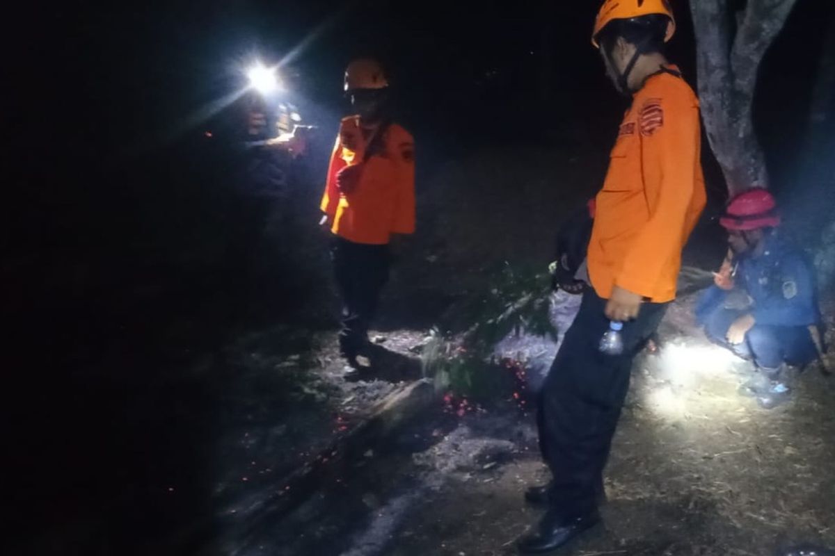 Tim Damkar Purwakarta tengah memadamkan api kebakaran di Gunung Bongkok, Desa Sukamulya, Kecamatan Tegalwaru, Kabupaten Purwakarta, Jawa Barat, Rabu (23/8/2023)