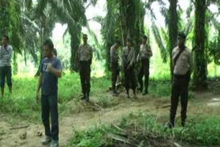 Panen kelapa sawit seluas 1050 hektar oleh ratusna karyawan perusahaan PT Unggul Widya Lestari salah satu perusahaan perkebunan dan pengolahan sawit di matra digagalkan ratusan warga bersenjata bambu runcing dan parang panjang yang mengkelaim lokasi perkebunan sebagai tanah milik mereka.