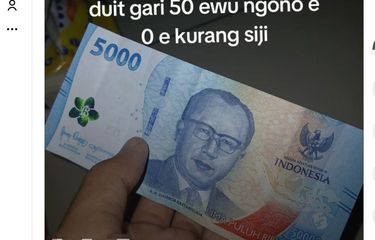 Ramai soal Uang Kertas Biru tapi Nominal Rp 5.000, Bagaimana ...