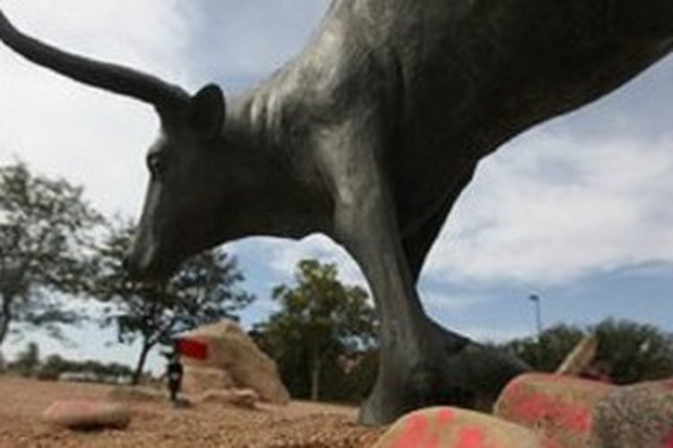 Universitas Texas Tech kini mengkaji keberadaan patung ini. 