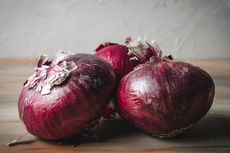 Tak Hanya Tumbuh di Ladang, Bawang Merah juga Bisa Ditanam di Dalam Pot