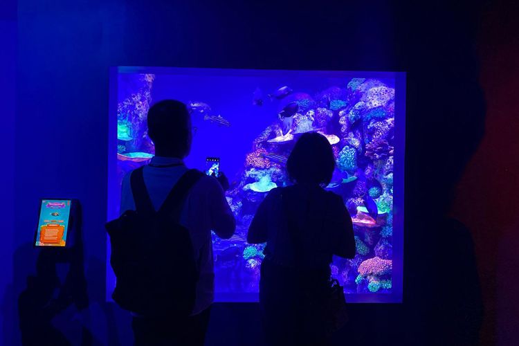 Wisata edukasi biota laut pertama di Tangerang Selatan, BXSea, yang berada di Bintaro Jaya XChange Mall 2, Tangerang Selatan. Suasana pada hari pertama soft opening, Jumat (15/12/2023).