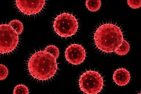 Pakar UGM: Virus Flu Burung Kecil Kemungkinan Jadi Wabah Baru