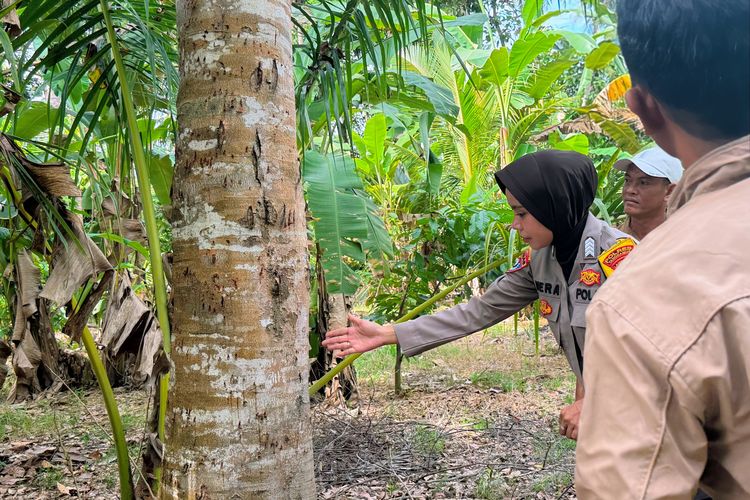 Hewan Diduga Beruang Resahkan Warga Tanggamus Lampung, Polisi Temukan Bekas Cakaran