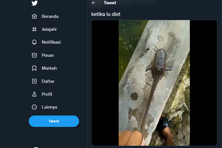 Tangkapan layar unggahan video yang memperlihatkan ikan lele berbadan tipis.